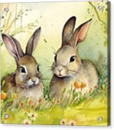 Watercolor Illustration Rabbits Acrylic Print