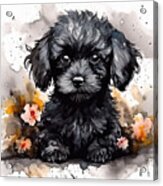 Watercolour Painting Of A Cute Black Poodle Puppy. Digital Illus Acrylic Print