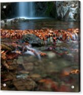 Waterfall And River Flowing With Maple Leaves On The Rocks On The River In Autumn Acrylic Print