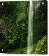 Waterfall In Mossy Glen Acrylic Print