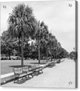 Waterfront Park Black And White Acrylic Print