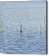Waterscapes - Shohola Lake Poconos Acrylic Print
