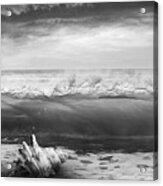 Waves And Shells Iii Black And White Acrylic Print