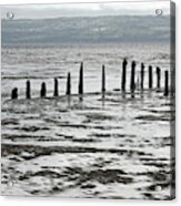 West Kirby. Stakes On The Shoreline. Acrylic Print