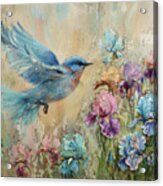 Where The Bluebird Flies Acrylic Print