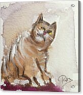 Whimsy Kitty 4 Acrylic Print