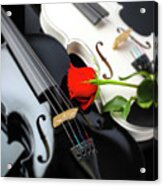 White And Black Violin With Red Rose Acrylic Print