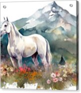 White Arabian Horse On An Alpine Meadow, Watercolor Illustration Acrylic Print