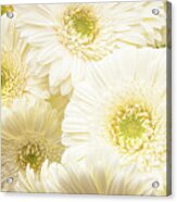 White Flower Bouquet Acrylic Print