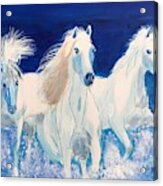 White Horses On Beach Acrylic Print