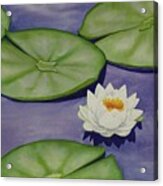 White Lotus And Lily Pad Pond Acrylic Print