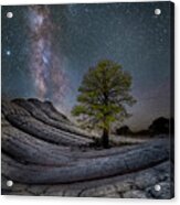White Pocket Milky Way Tree Acrylic Print