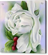White Rose And Winter Holly Acrylic Print