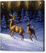 Whitetail Deer Running In Snow Acrylic Print