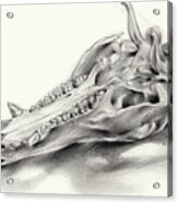 Wild Boar Skull And Metamorphosis Of Life 2 Acrylic Print