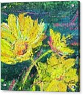 Wild Thing - Desert Marigolds Acrylic Print