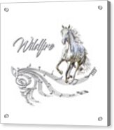 Wildfire Dream Horse Art 1 Acrylic Print