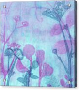 Wildflowers In Blue And Purple Acrylic Print