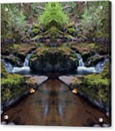 Wilson Creek Paradise Mirror #1 Acrylic Print
