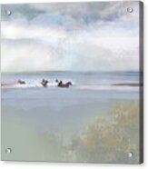 Wind And Water No. 6  Wild Horses Of Ocracoke Acrylic Print