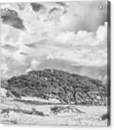 Wind Swept Live Oaks - Cedar Island North Carolina Acrylic Print