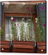 Window Garden - Venice Acrylic Print