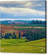 Wine Country Acrylic Print