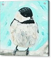 Winter Chickadee Acrylic Print
