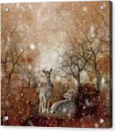 Winter Forest Acrylic Print