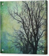 Winter Gloom Acrylic Print
