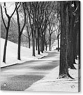 Winter In Elmwood Cemetery Acrylic Print