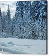 Winter In Mt Hood National Forest Acrylic Print