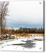 Winter On The Elbow River Acrylic Print