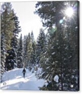 Winter Snowshoeing Snowy Evergreen Pine Forest Mountain Trail Colorado Acrylic Print