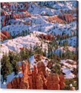 Winter Sunrise Bryce Canyon National Park Acrylic Print