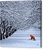 Winter Wonderland Trees Overlapping Branches Covered With Snow Boy In Orange Coat Is Making Snowman Acrylic Print