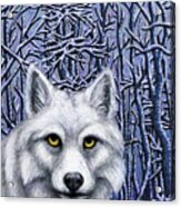 Winter Wonderland Wolf Acrylic Print