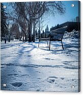 Wintertime Is The Park Acrylic Print