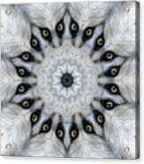 Wolf Eyes Mandala Kaleidoscope Medallion Flower Acrylic Print