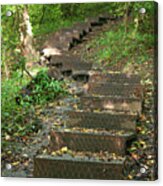 Wooden Steps In The Woods Acrylic Print