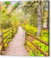 Wooden Trail At Gooseberry Falls Watercolor Acrylic Print