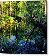 Woodland Calm No.18 - Accotink Stream Reflections Acrylic Print
