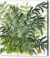 Woodland Ferns With Butterfly And Violets Acrylic Print