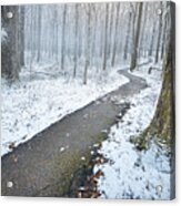 Cold Winter Path Acrylic Print