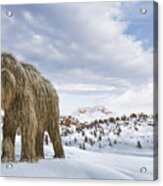 Woolly Mammoth In A Winter Scene Environment. Acrylic Print
