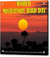 World Migratory Bird Day 2021 Acrylic Print