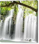 Xxxl: Panoramic Of Tropical Waterfall With Backlit Leaves Acrylic Print