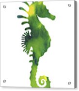 Yellow And Green Seahorse Watercolor Silhouette Acrylic Print