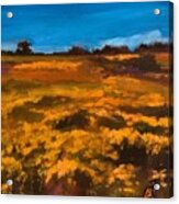 Yellow Field Acrylic Print