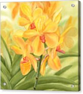 Yellow Orchid Acrylic Print